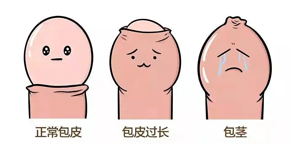 微信图片_20251014155443_1_26.png 微信图片_20251014155443_1_26.png