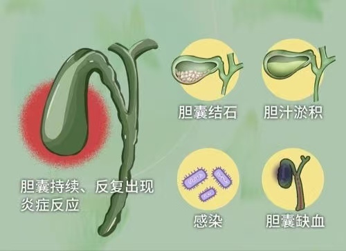 微信图片_20250609112950.jpg 微信图片_20250609112950.jpg