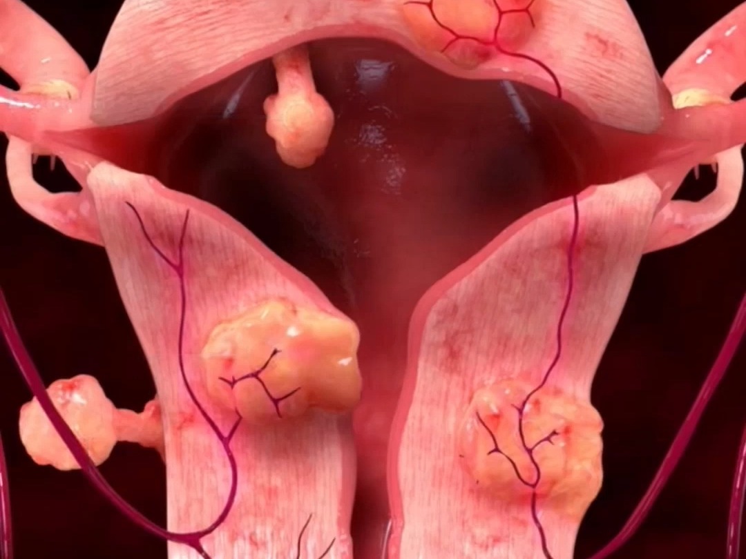 微信图片_20250812114933.jpg 微信图片_20250812114933.jpg