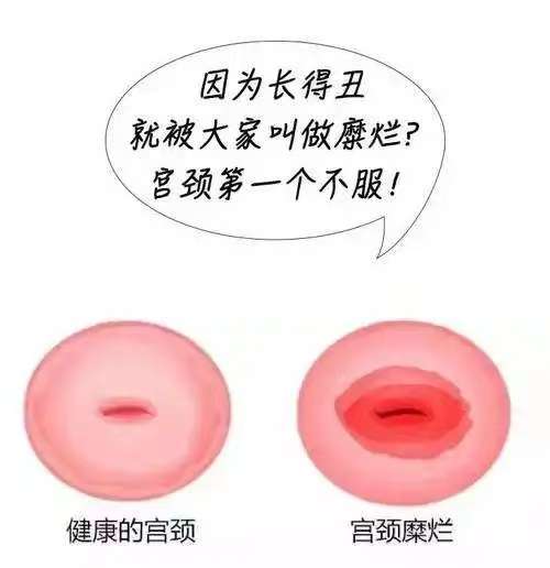 微信图片_20250605104616.jpg 微信图片_20250605104616.jpg