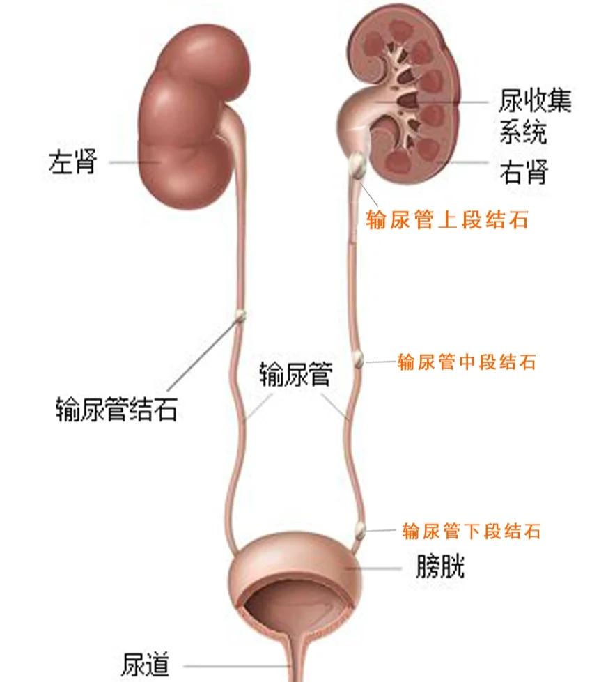 微信图片_20250910092844.jpg 微信图片_20250910092844.jpg