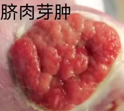 微信图片_20250630121400.jpg 微信图片_20250630121400.jpg