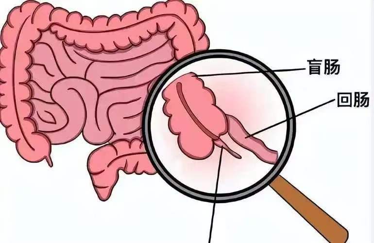 微信图片_20250710105123.jpg 微信图片_20250710105123.jpg