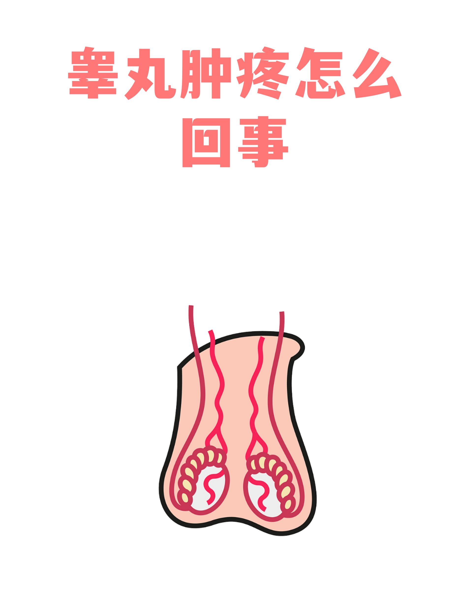 45455.png