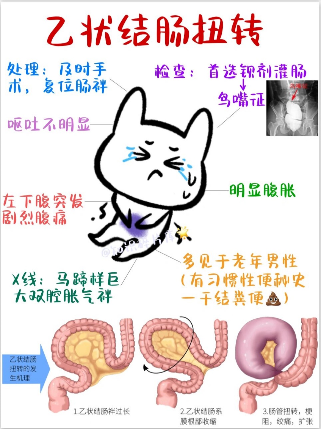 8ee749ca8190e0b811894b04fd7916dc8193.jpeg
